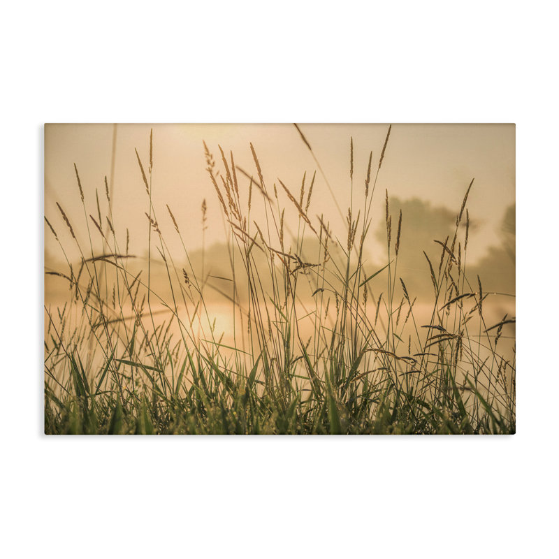 «Grassy Country Reeds», art mural sur toile par Marty Hulsebos, H 30 po x l 45 po