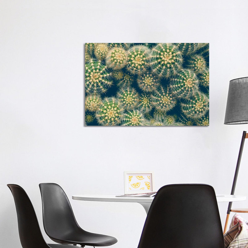 Cactus by Olivia Joy StClaire - Wrapped Canvas Print, 101.6 cm H x 66.04 cm W x 3.175 cm D