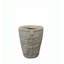 Amazon Planter