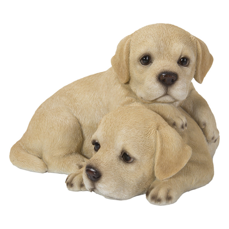 Bébé labradors jouant