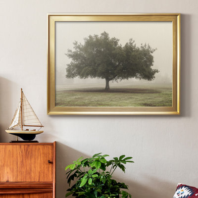 " Trees In The Fog II "
