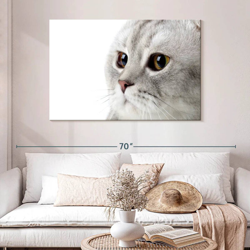 Crowle Fluffy Gray Cat, 32" H x 48" W