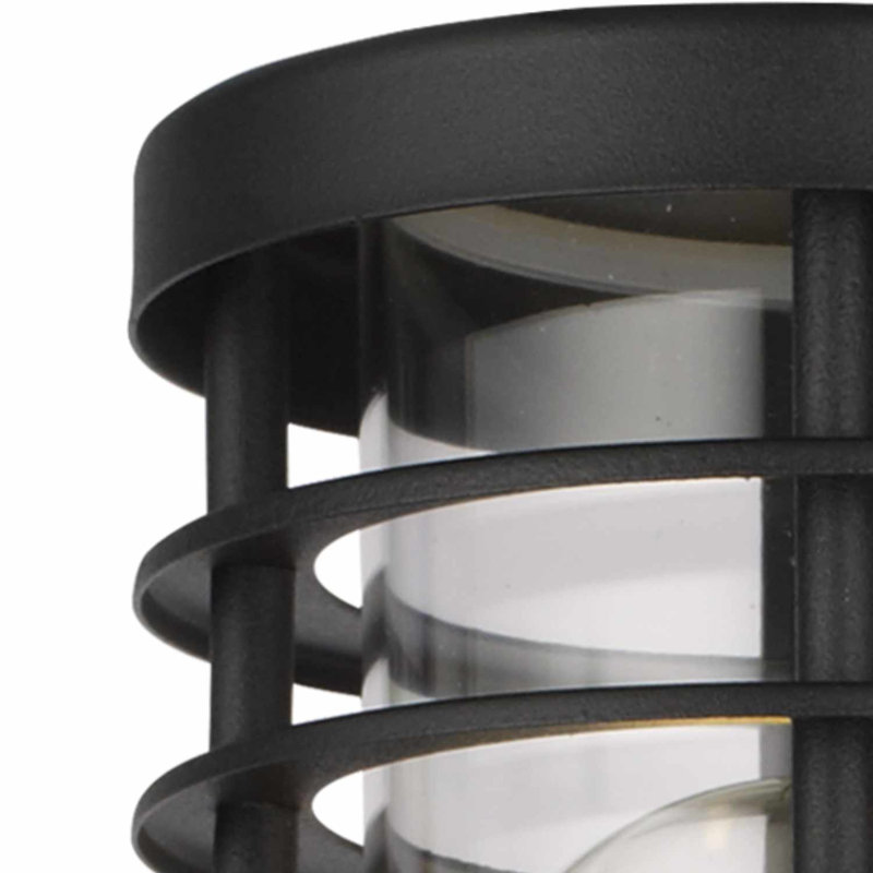 Birchview 22.2cm H Outdoor Sconce