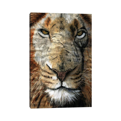 Lion Scars by Rachel Parker - Painting on Canvas