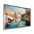 Silver Single Picture Framed