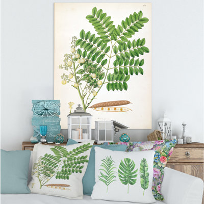 Vintage Botanicals VII - peinture sur toile