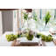 Glass Cloche Food Cover, Ring Handle, Small-1242998154