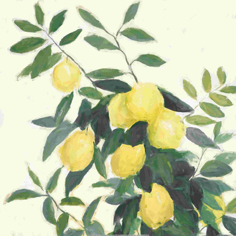 Painterly Lemon Square, H 12 po x l 12 po x P 1,25 po