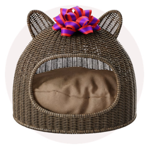 For the Pet Parents
