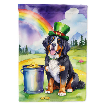 Drapeau double face en polyester H 40 po x l 28 po St Patrick's Day House