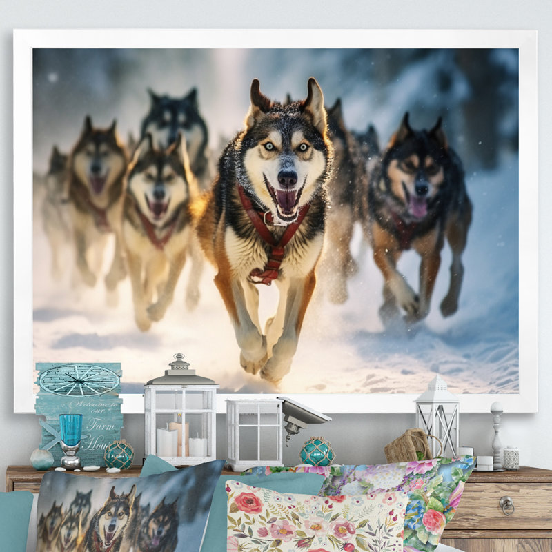Alaska Dog Sledding I - Animals Canvas Wall Art, 16" H x 32" W x 1" D, White Picture Framed