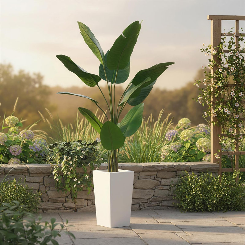 57.87cm Plant