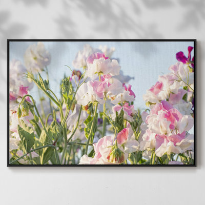 «Spring All Around», reproduction sur toile encadrée