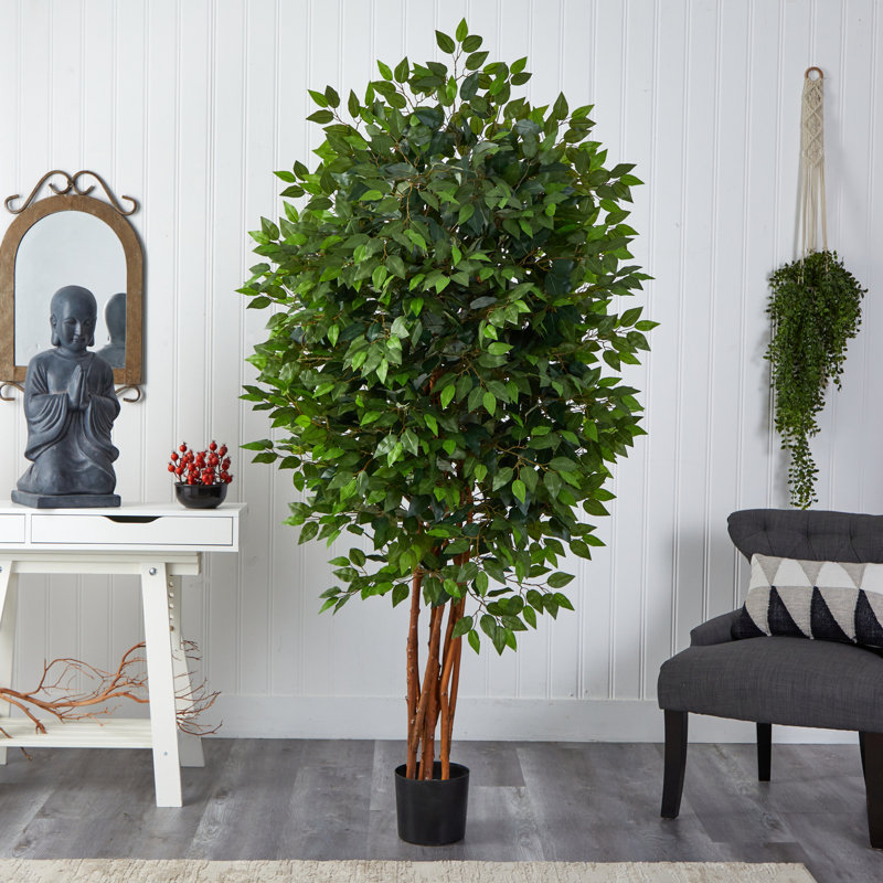 6.5ft. Deluxe Ficus Tree