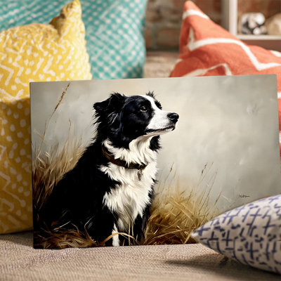 Border Collie in Grass Canvas Wall Art (Rustic Pet Tone) Stretched Frame for Pet Nook