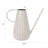 Metal Watering Can and