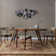 Anoush Oriental Indoor Rug
