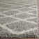 Ines Geometric Gray Area Rug