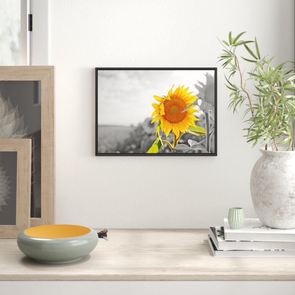 Gerahmtes Wandbild Nahaufnahme einer Sonnenblume