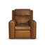 Harrison Power Recliner With Power Headrests & Lumbar-1759323713