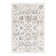 Hilley Oriental Indoor Rug
