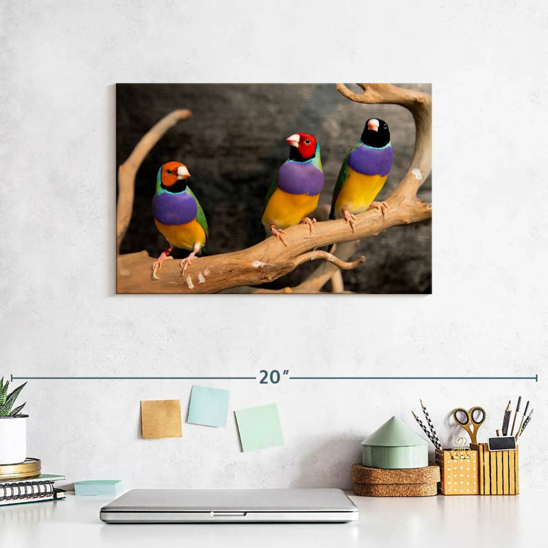 Rainbow Finches, 8" H x 12" W
