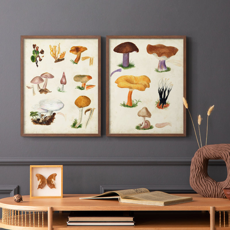 Champignon VI - reproduction encadrée de qualité supérieure - prêt à être accroché - aucun clou requis - aucun clou requis