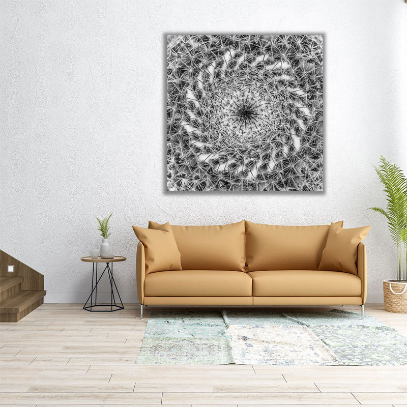 Cactus gros plan - reproduction d'art sur toile, H 30 po x l 30 po