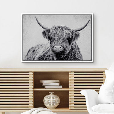 Portrait d'animaux sur fond blanc