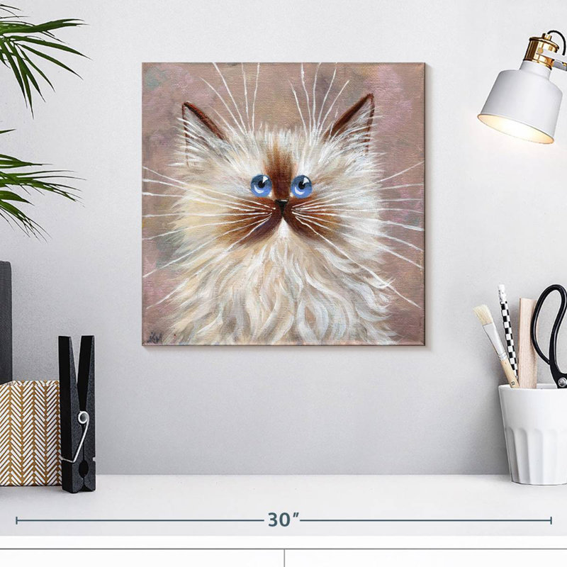 Chaton Brampt Seal Point, H 16 po x l 16 po