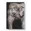 Elephant Vol.3 - Wrapped Canvas-61876795