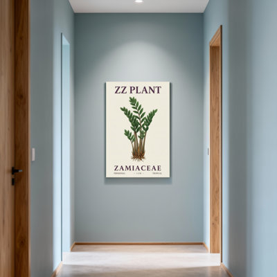 Plants &Flowers Zz Plant Botanical Illustration Print