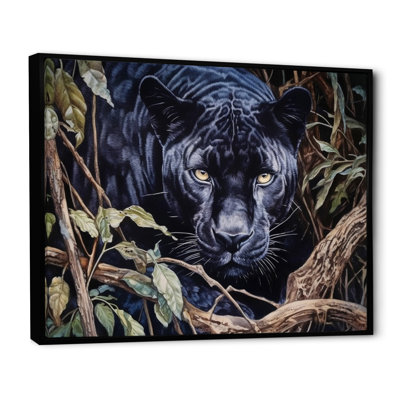 " Panther'S Gaze II "