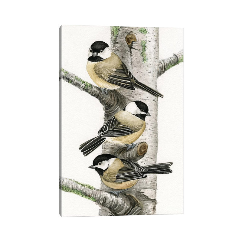 Chickadees In Birch Tree by Tracy Lizotte - Wrapped Canvas Print, 20.32 cm H x 30.48 cm W