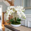 Orchid Arrangement in Round Fiberstone Pot-1233830117