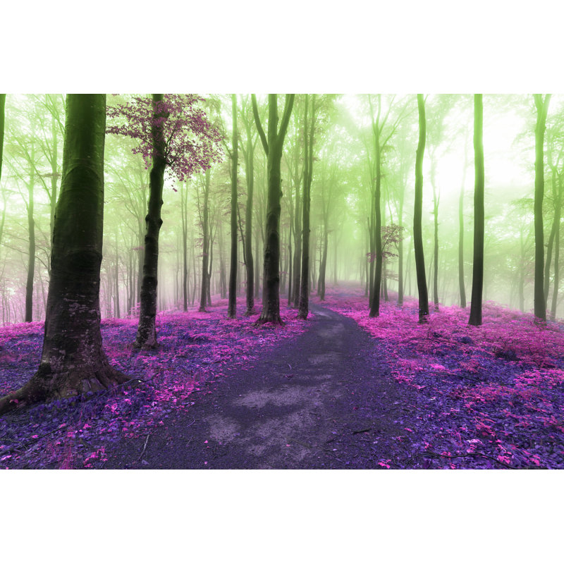 Dreamy Foggy Forest by Bonciutoma - Wrapped Canvas Print, 51cm H x 76cm W x 3.8cm D