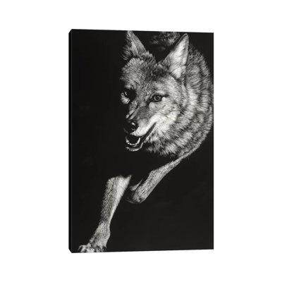 Wild Scratchboard by Julie T. Chapman - Wrapped Canvas Gallery-Wrapped Canvas Giclée