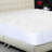 Premium Waterproof Fitted Mattress Protector Mattress Protector Case Pack-6802602