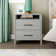 Allysyn 22.7" 2 Drawer Nightstand