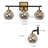Mylisa 3-Light Dimmable Globe Vanity Light with Mercury Glass Shade