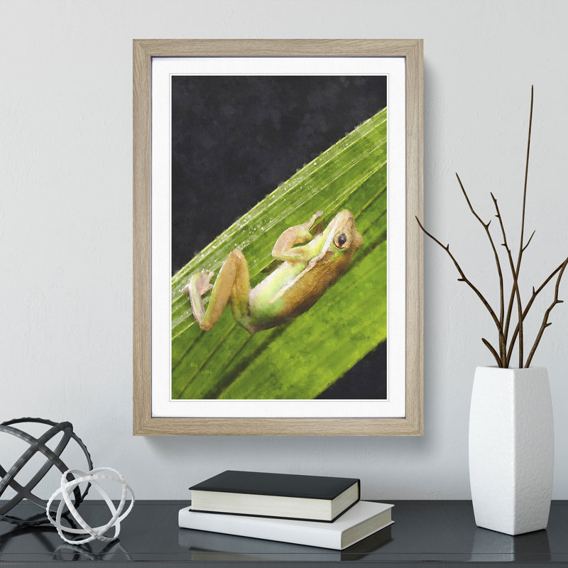 Frog Vol.1 - Framed Print, Oak Framed, 36cm H x 27cm W x 2cm D