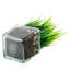 22.1cm Faux Onion Grass Grass in Glass Vase