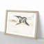 Common Crane by Numata Kashu - Picture Frame Painting Print-55686470-55686465