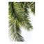 Palm Leaves 1 Piece Wall Art on Canvas-42153430-101416024