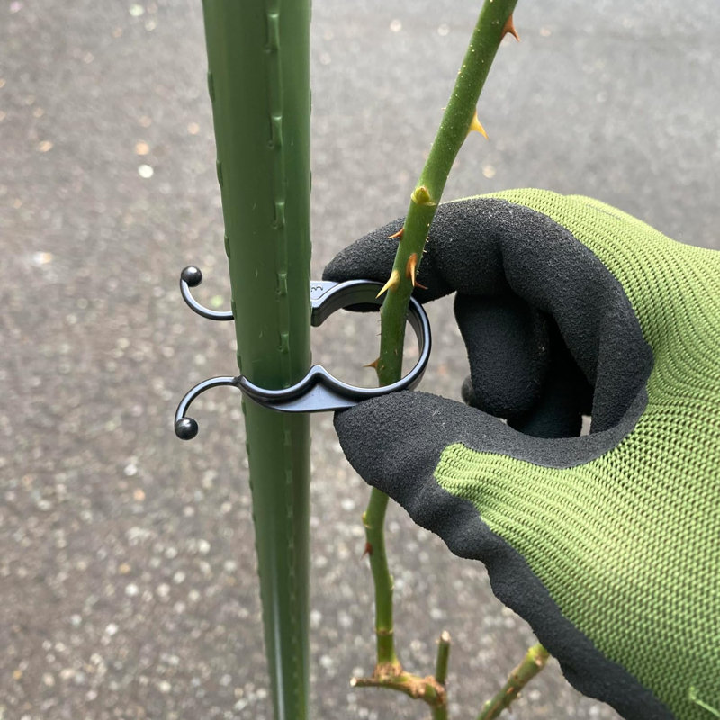 Plant Stand