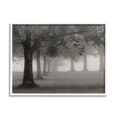 «Tranquil Foggy Trees Field Mon monochrome Design» par Nicholas Bell - photographie