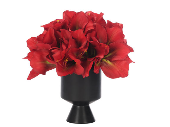 Amaryllis, Red, Ceramic Vase, 15wx15dx14h