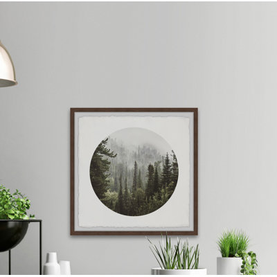 " Forest Of Pines "