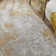 Edgeworth Silver/Gold/Beige Rug