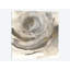 Ii, reproduction d’art sur toile tendue Gold Dust Nebula-19754861-74757788-74757793